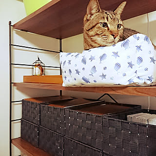 100円均一 シーツしわくちゃのまとめページ Roomclip ルームクリップ 100円均一 シーツしわくちゃのまとめページ Roomclip ルームクリップ