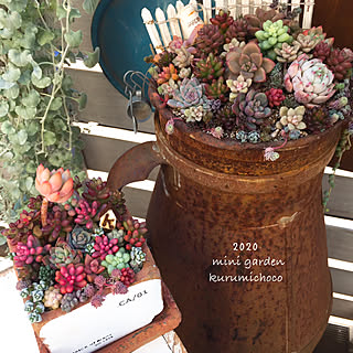 ウッドデッキgarden/ウッドデッキつけました/暮らしを変えたもの/花のある暮らし+..・* ❁/多肉植物...などのインテリア実例 - 2020-02-10 20:14:35