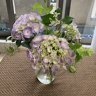 風船ポピーのインテリア実例 Roomclip ルームクリップ