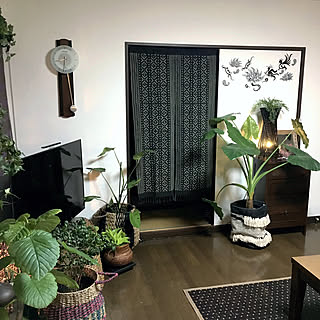 玄関/入り口/少しづつ秋仕様/観葉植物/玄関ではありません/カメラマーク消し...などのインテリア実例 - 2017-08-17 20:50:37