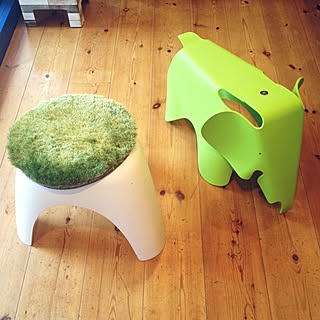 部屋全体/プラスチック/子どもと楽しむインテリア*/イームズエレファント/エレファントスツール...などのインテリア実例 - 2016-05-23 16:57:09