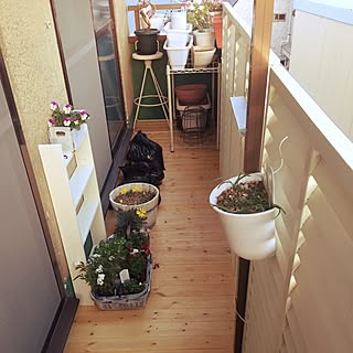 玄関/入り口/ラティス/いいね!ありがとうございます♪/ウッドデッキDIY /賃貸でも楽しく♪...などのインテリア実例 - 2017-03-23 11:45:00