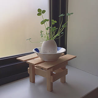 フランフラン/出窓/栽培キット/四葉のクローバー/エッグリング...などのインテリア実例 - 2018-06-26 08:11:38