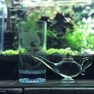 ディズニー 水槽のある部屋のインテリア実例 Roomclip ルームクリップ