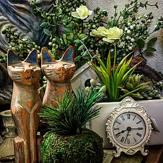 玄関/入り口/多肉風寄せ植え/ダイソー苔玉/アジアン雑貨/猫置物...などのインテリア実例 - 2017-06-19 10:45:14