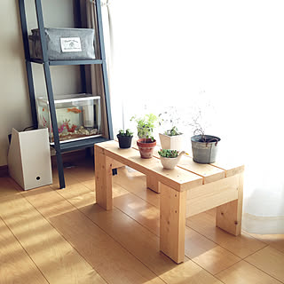 壁/天井/置き台 DIY/観葉植物/グリーンのある暮らし/シンプルな暮らし...などのインテリア実例 - 2018-03-13 20:01:59