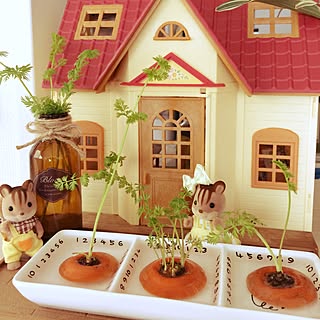 棚 リボベジのインテリア実例 Roomclip ルームクリップ