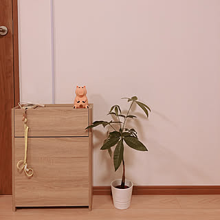 Ikea モデムとルーターのインテリア実例 Roomclip ルームクリップ