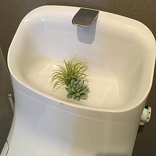 トイレタンクのディスプレイのインテリア実例 Roomclip ルームクリップ