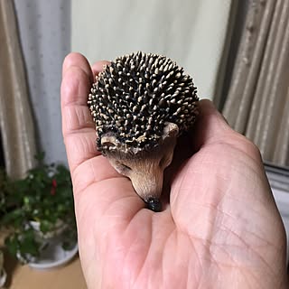 いいね押し逃げごめんなさい(>_<)/買った物勝ち(՞ټ՞☝/本物そっくり/家族増える/もぅいい加減しろ!(╬•᷅д•᷄╬)と!...などのインテリア実例 - 2017-06-29 22:37:13