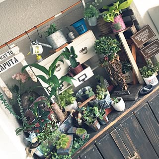 まだまだ殺風景。。/築39年/ハンドメイド/ハッピーRCライフ/!!!!!アホ仲間!!!!!...などのインテリア実例 - 2016-07-10 07:28:53