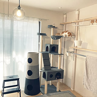 ニトリ キャットウォークdiyのインテリア 手作りの実例 Roomclip ルームクリップ