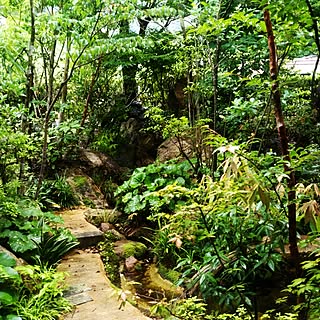 雑木林のインテリア実例 Roomclip ルームクリップ