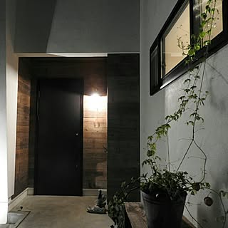 ふうせんかずらのインテリア実例 Roomclip ルームクリップ