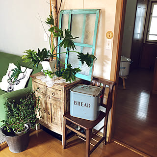 棚/アンティークペイントの窓枠/フローラガラス/型押しガラス/観葉植物のある暮らし...などのインテリア実例 - 2018-04-07 10:54:35