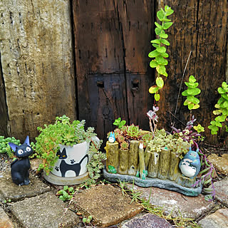 ガーデン ジブリのインテリア実例 Roomclip ルームクリップ