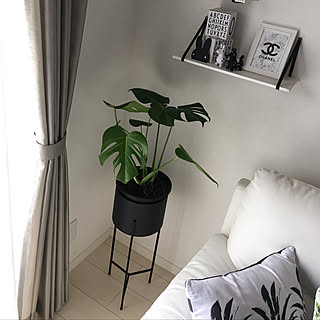 ニトリ スチールスタンドプランターポットのインテリア実例 Roomclip ルームクリップ