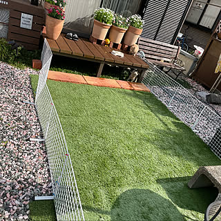 ドッグラン 愛犬と暮らす家のインテリア実例 Roomclip ルームクリップ