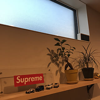 観葉植物/飾り棚/無印良品/キッチンのインテリア実例 - 2020-02-24 16:53:18