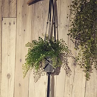 壁/天井/材料3つ以内/ダイソー/100均/10分でできる...などのインテリア実例 - 2016-08-05 20:37:52