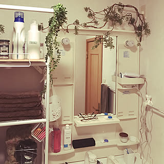 バス/トイレ/フェイクグリーン/いなざうるす屋さん/いなざうるす屋のインテリア実例 - 2019-02-04 09:55:49