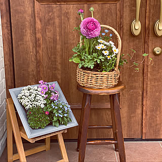 額縁プランターのインテリア実例 Roomclip ルームクリップ