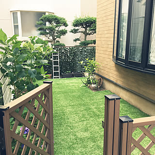 紫陽花 地植えのインテリア実例 Roomclip ルームクリップ 紫陽花 地植えのインテリア実例 Roomclip ルームクリップ
