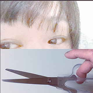 セリア Seria 前髪ウィッグの威力のまとめページ Roomclip ルームクリップ