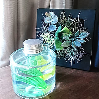 インテリアボトルのインテリア実例 Roomclip ルームクリップ