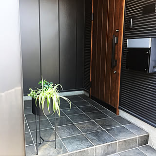 ガルバリウム 北向き玄関のインテリア実例 Roomclip ルームクリップ