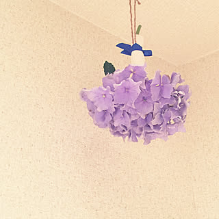 紫陽花のおまじないのインテリア実例 Roomclip ルームクリップ 紫陽花のおまじないのインテリア実例 Roomclip ルームクリップ