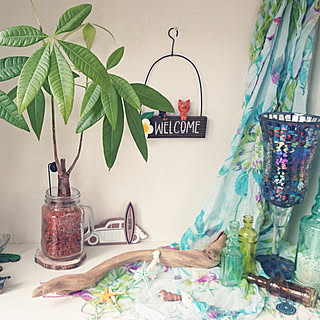玄関/入り口/観葉植物/初投稿/セリア/夏のインテリア実例 - 2019-10-08 21:19:44