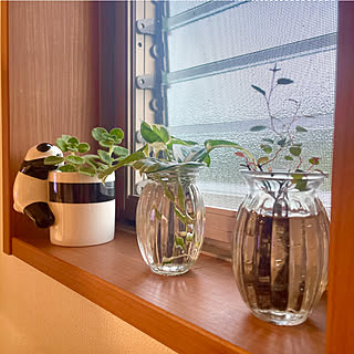 ワイヤープランツ水挿しのインテリア実例 Roomclip ルームクリップ
