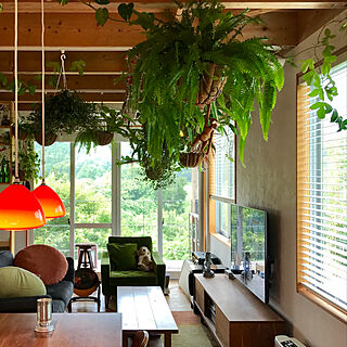観葉植物 吊り下げ観葉植物のインテリア実例 Roomclip ルームクリップ