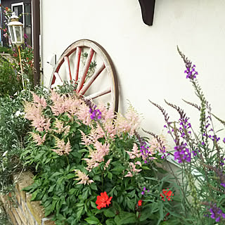 玄関/入り口/ナチュラルガーデン/ガーデニング/玄関アプローチ/ガーデン...などのインテリア実例 - 2018-05-26 14:43:42