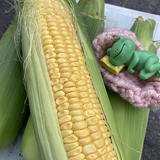 とうもろこし 皮を剥くぞのインテリア実例 Roomclip ルームクリップ