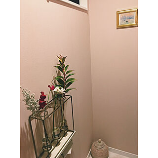 ピンクのトイレのインテリア実例 Roomclip ルームクリップ