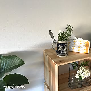 棚/写真撮影/あとでゆっくりお邪魔させてください☆/花のある暮らし/グリーンのある暮らし...などのインテリア実例 - 2017-06-08 22:52:06