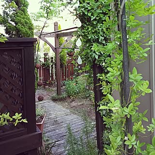 狭小GARDEN/ガーデニング/salut!/オーダーメイド/洗濯竿...などのインテリア実例 - 2017-05-22 01:08:22