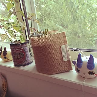 コマさん コマじろうのインテリア実例 Roomclip ルームクリップ コマさん コマじろうのインテリア実例 Roomclip ルームクリップ