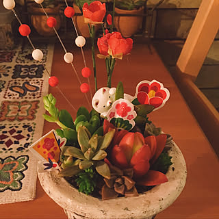 正月/カット苗/みどりのある暮らし/多肉植物/一人暮らし...などのインテリア実例 - 2018-01-01 19:37:11