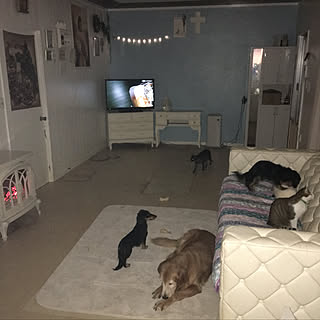 部屋全体 教会風のインテリア実例 Roomclip ルームクリップ