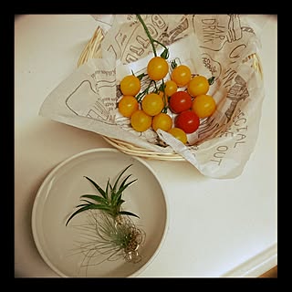 キッチン/セリア/ペーパーナプキン/プラスチック食器/エアプランツ...などのインテリア実例 - 2017-06-24 17:35:52