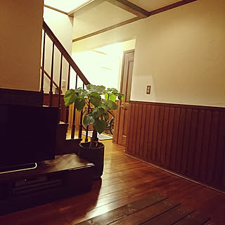 部屋全体/リビングからの玄関/ウンベラータ/腰板壁/珪藻土の壁...などのインテリア実例 - 2018-08-19 01:33:32