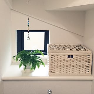 バス/トイレ/サンキャッチャー/階段下トイレ/シダ植物/ツデー...などのインテリア実例 - 2016-07-15 12:49:45
