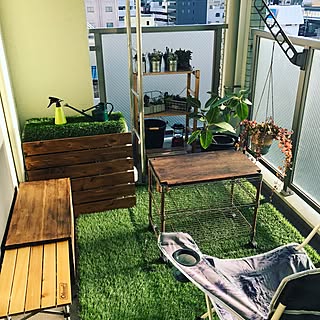 観葉植物 ベランダガーデニングのインテリア実例 Roomclip ルームクリップ