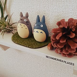 まつぼっくり トトロのインテリア実例 Roomclip ルームクリップ