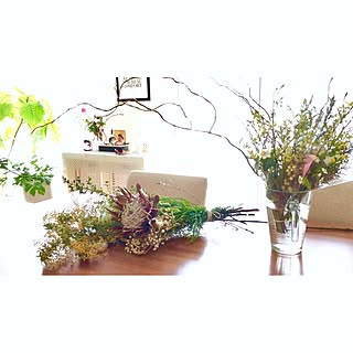 机/クリスマスローズ/マーガレット/チューリップ/ラナンキュラス...などのインテリア実例 - 2017-03-03 07:00:03