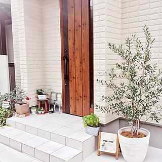 観葉植物 玄関先のおしゃれなアレンジ 飾り方のインテリア実例 Roomclip ルームクリップ