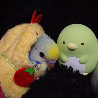 机/賃貸でも楽しく♪/いいね!ありがとうございます♪/フォロワー様に感謝です !/自己満足( ̄^ ̄)ゞ...などのインテリア実例 - 2017-12-29 13:40:16